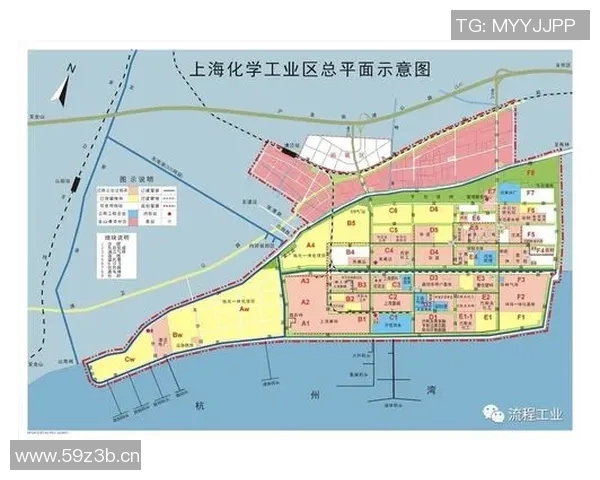 深入探讨上海篮球队实力表现的数据分析与未来发展潜力